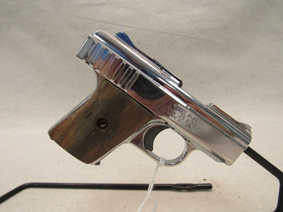 Raven Arms P-25 .25-