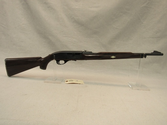 Remington 10C .22LR-
