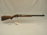 Glenfield Model 60 .22-