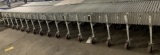 Roach Flex 40' Powered Flexible Conveyor-