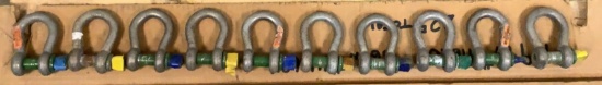 (10) 3 1/4 Ton Shackles