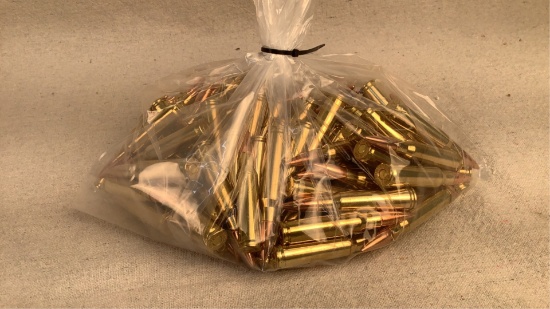 (100) .308 Win ammunition