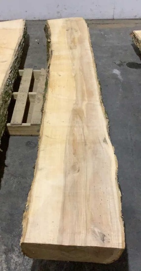 5" Thick Ash Mantel Slab