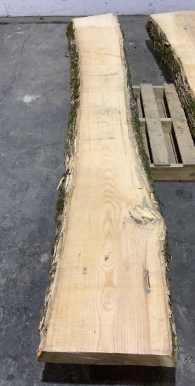 3" Thick Ash Mantel Slab