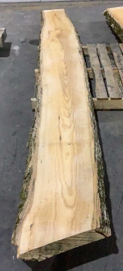 2" Thick Ash Live Edge