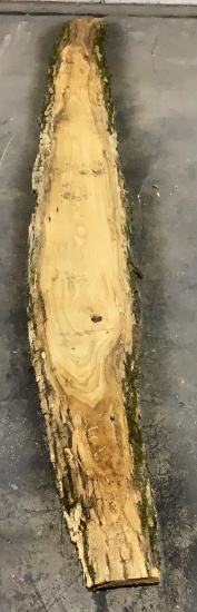 1" Thick Ash Live Edge