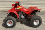 1996 Honda ATV TRX300EX