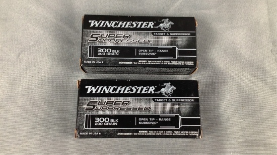(2x)20 rnds 300 Blk Out Winchester
