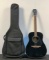 Alvarez 6 String Acoustic Guitar & Case RD-10BK