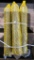 (6) 35mmx229mm Bucket Pins