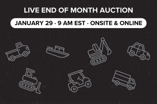 LIVE January End of Month Auction