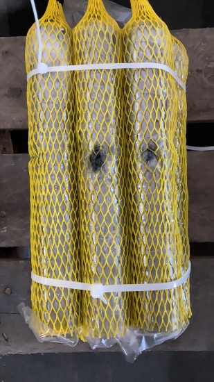 (6) 35mmx229mm Bucket Pins
