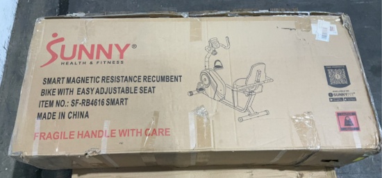 Sunny Recumbent Bike