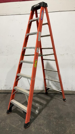 Werner 8' Fiberglass Step Ladder