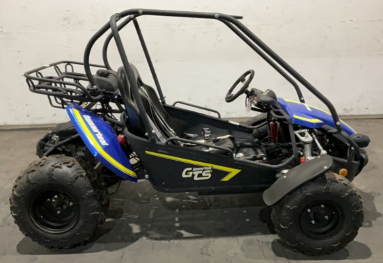 Hammerhead GTS Go Kart