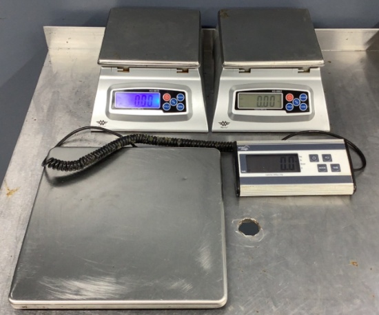 (3) Assorted Scales OFFSITE