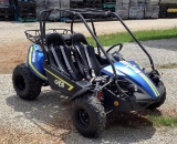 Hammerhead GTS Go Kart