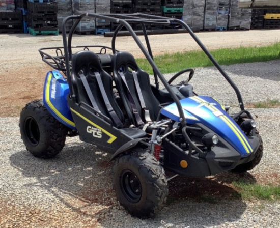 Hammerhead GTS Go Kart