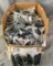 (Approx 15) lbs Typhoon Defense F12 Rail Kits Blk