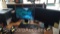 Dell PC with 2 Monitors, Keyboard, Mouse, Brother HL-22700W Printer