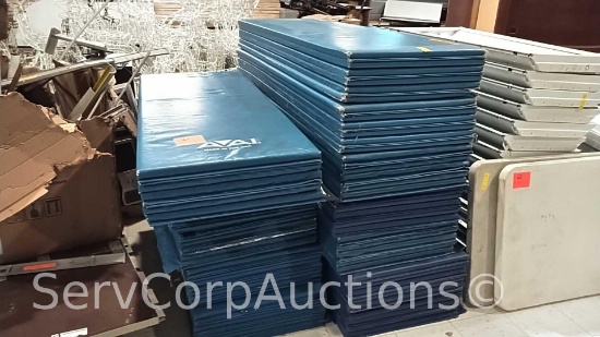 Lot of Approximately 15 AAI Gym Pads