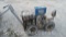 DTC Paint Striper (Seller: City of Slidell)