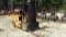 Caterpillar Model V40D Forktruck, 4000#, Runs, Has Oil Leak, Weak Battery, 4662 Hours, S/N 3EC4555,