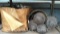 Lot on Shelf of Various Path Lighting