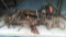 Lot on Shelf of KY Sway Control Hitch