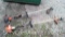 Lot of Stihl & Echo Weedeaters (Seller: St. Tammany Parish School Board)