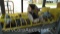 Lot on Shelf of Various Acro Bins with Various Contents of Nuts, Bolts, Pencils, Hex Wrenches,