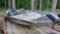 Pro Team 170TX Bass Tracker Boat, Hole Top Side Transom, No Motor, BUJ09339H910 'PARTS ONLY' No