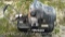 Husky 8-Gallon 110-Volt Air Compressor (Seller: St. Tammany Parish Sheriff)