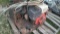 Lot on Pallet of Honda/Largo Cleaning Pressure Wash System Model 420B with CAT Pump Model 310