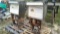 Lot on 2 Pallets of 2 Self Serve Gas/Diesel Fuel Pumps/Dispensers No Id Tags (Seller: City of