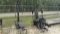 Lot of Bowflex XTL and Weider 8620 Exercise Equipment