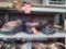 Lot on Shelf of Approximately 71 Belts & a Bag of Various Size Buckles: Shark, Alligator, Horn Back