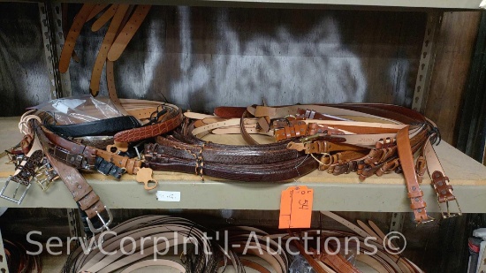Lot on Shelf of Approximately 77 Belts & a Bag of Various Buckles: Elk Skin, Buffalo, Bison, Italian