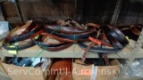 Lot on Shelf of Approximately 57 Belts & a Bag of Various Buckles: Alligator, Horn Back Alligator,