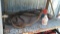 Lot on Shelf of Various A/C Gauges, A/C Pro Refrigerant Oil