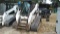 2007 Bobcat T320 Skid Steer SN: A7MP12200 Hours: 1266, No Attachment, Runs, Needs tracks and has