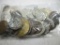 a-84 Unsearched Bag of 44 World Coins. Silver??