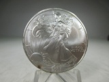 t-161 GEM BU 2003 American Silver Eagle right from the roll