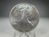 T-75 GEM BU 1991 1oz .999 American Silver Eagle. Right out of the roll.