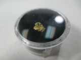 g-153 .3 Gram chunky solid gold nugget