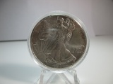 t-126 2013 American Silver Eagle 1 Ounce .999 Silver Round