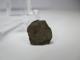 t-189 2,000 Year Old uncleaned Roman Coin