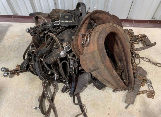 Set of Large Draft Horse Harnesses