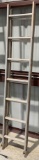 14' Extension Ladder