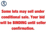 Auction Reminder : Conditional Sale - Your Bid Will Be Binding Until Seller Comfirmation.